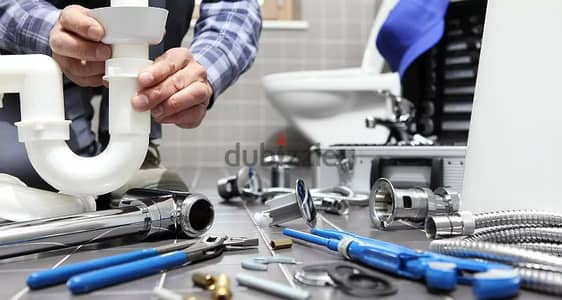 very good service of plumbing repairing and maintenance. .