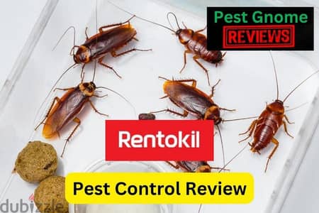 Pest control, Marble polishing, Cleaning, fumigation, anti termite