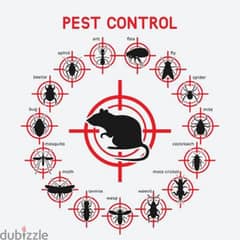 Pest Control Service with Gaurantee