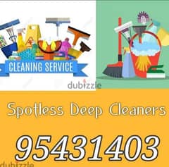 House cleaning service and pest control service