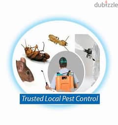 Pest Control Service and House Cleaning Service 0