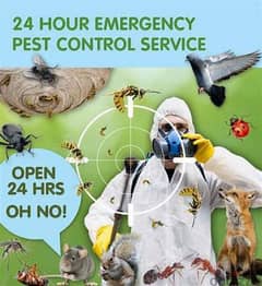 Pest Control Service with Gaurantee