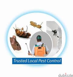 Guaranteed pest control service and house cleaning 0