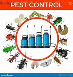 Pest control, Marble polishing, Cleaning, fumigation, anti termite