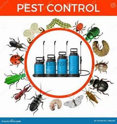 Guaranteed pest control service with warantty 0