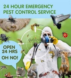 Quality pest control service and house cleaning 0