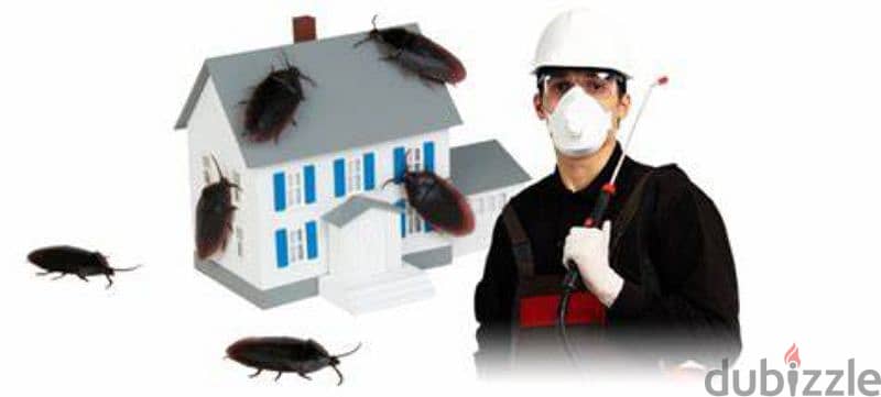 Pest Control Service with Gaurantee 0