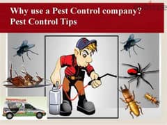 Pest control service with warantty 0