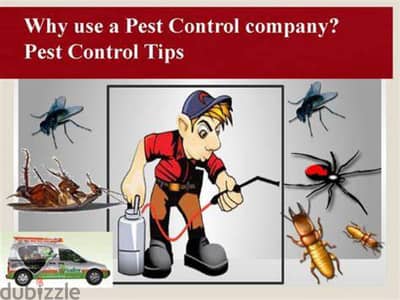 Pest Control Service with Gaurantee