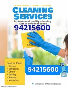 professional house, villa, building, office, school cleaning service