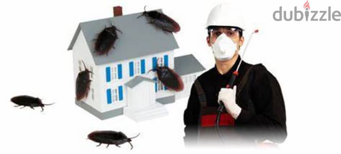 Guaranteed pest control service and house cleaning