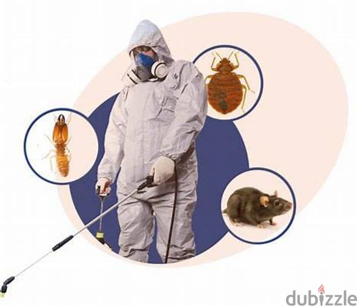 Guaranteed pest control service and house cleaning 0