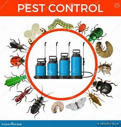 Quality pest control service