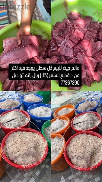 مالح جيذر للبيع 0