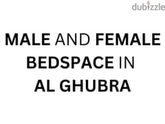 Executive Male and Female Bedspace available in Al Ghubrah 0