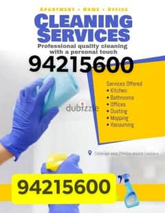 Professional villa office shops restaurant house deep cleaning service 0