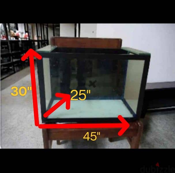 Aquarium Offer Offer 3