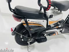 Electric bike