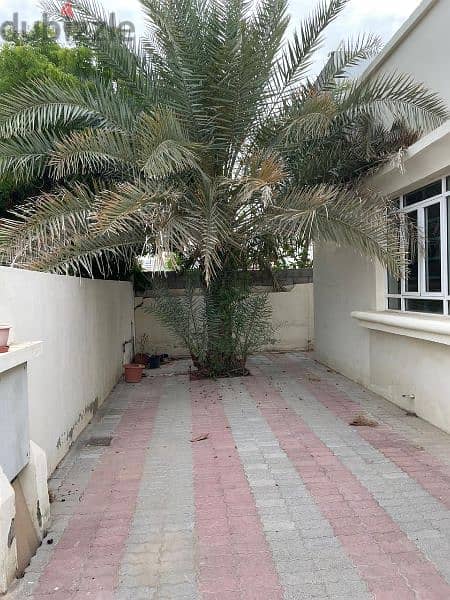 Luxury villa in Al Mawaleh South فيلا فاخره في الموالح طابق واحد 15