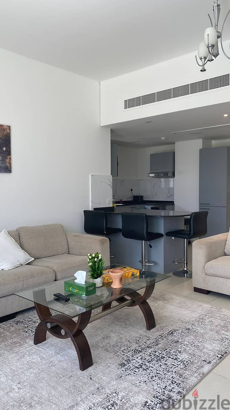 PRIVATE JACUZI TERRACE 2bhk apartment in SIFAH 7