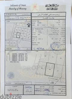 ارضين  شبك بالمنومة الشمالية