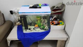 fish tank with fishes 0