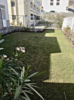 3BHK Ground Floor Apartment in Mumtaz Area PPA354 0