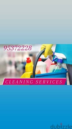 professional house, villa, building, office, school cleaning service