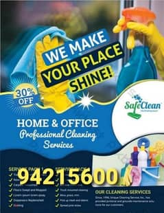 professional house, villa, building, office, school cleaning service 0