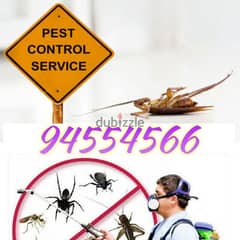 Pest Control Service with Gaurantee