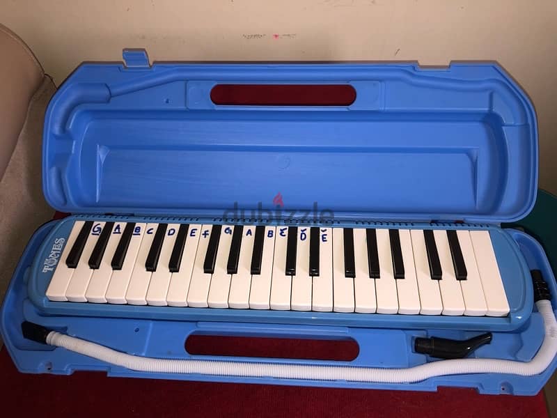 Melodica 1