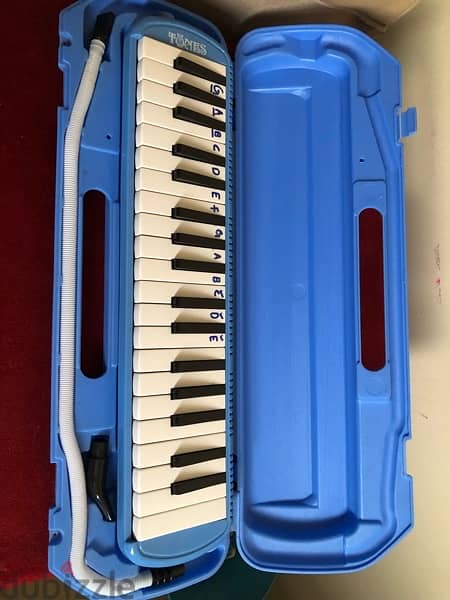 Melodica 2