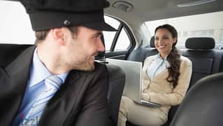 professional experience driver need job 0