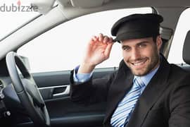 PROFESSIONAL DRIVER NEED JOB