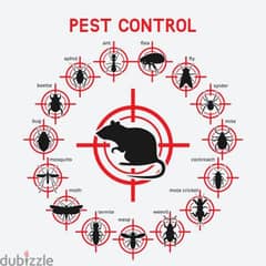 pest control service and house Maintenance