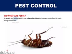 pest control service and house Maintenance