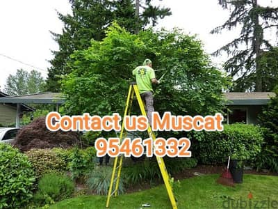 Plants and Tree-cutting Cutting Shaping Garden Cleaning Maintenance