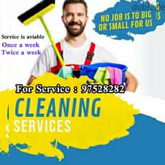 House Office Flat or Garden Cleaning service available part-time