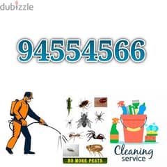 pest control service and house Maintenance