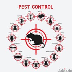 Quality pest control service and house cleaning