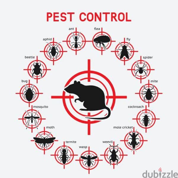 Quality pest control service and house cleaning 0