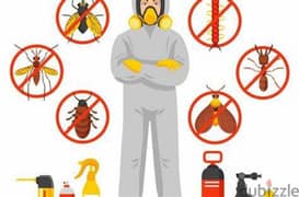 Quality pest control service and house cleaning