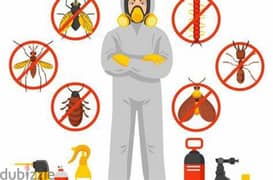 Pest Control Service with Gaurantee