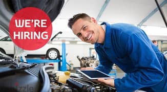 Auto electrician / Diagnostic technician / Programmer