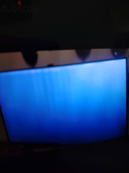 selling Sharp TV has issue with. the panel 0