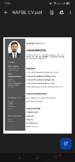 Sales Executive