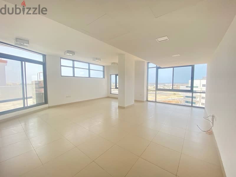 flat for rent penthouse with private pool 15