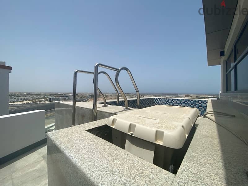 flat for rent penthouse with private pool 17