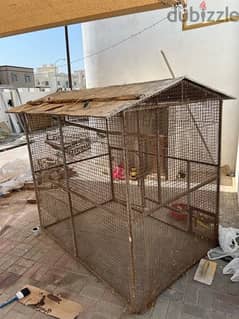 Bird cage for sale