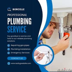 plumber And house maintinance repairing 24 services